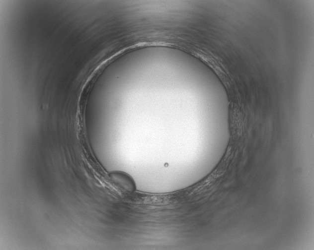 X0000073830338200608101007