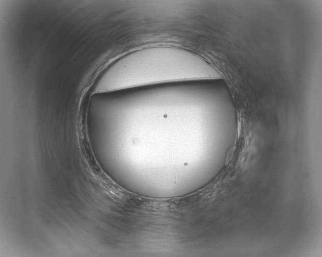 X0000073830339200608101007