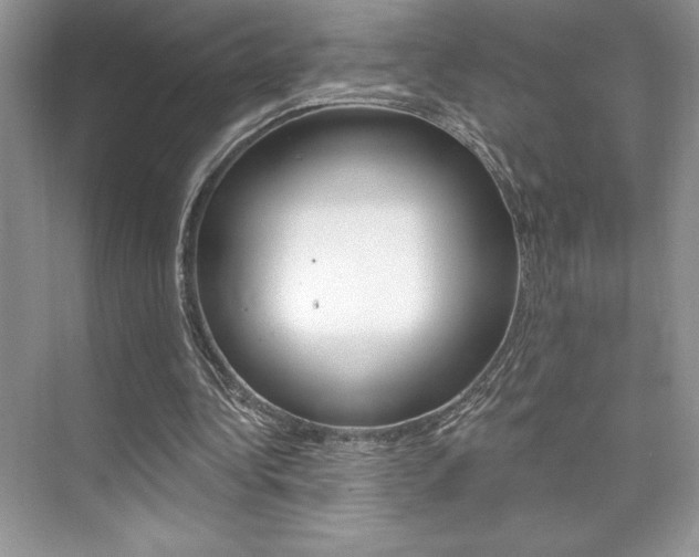 X0000073830340200608101007