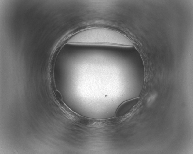 X0000073830341200608101007