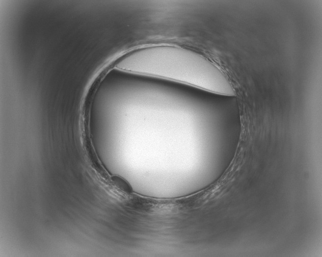 X0000073830342200608101007