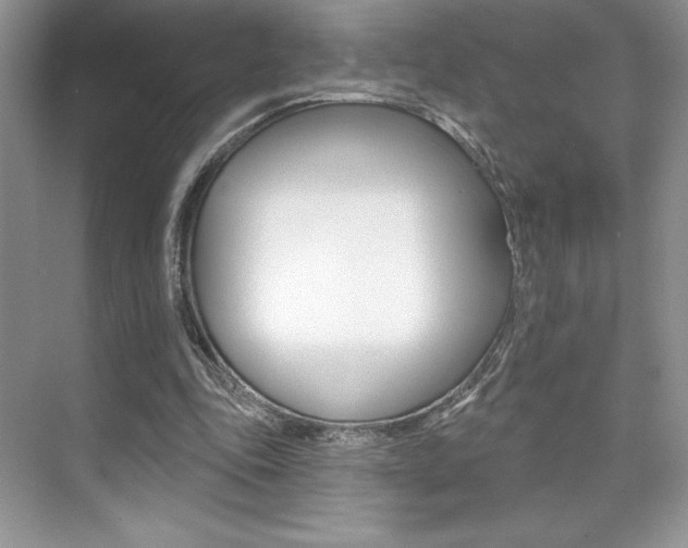 X0000073830343200608101007