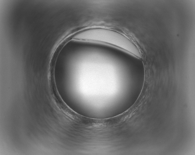 X0000073830344200608101007