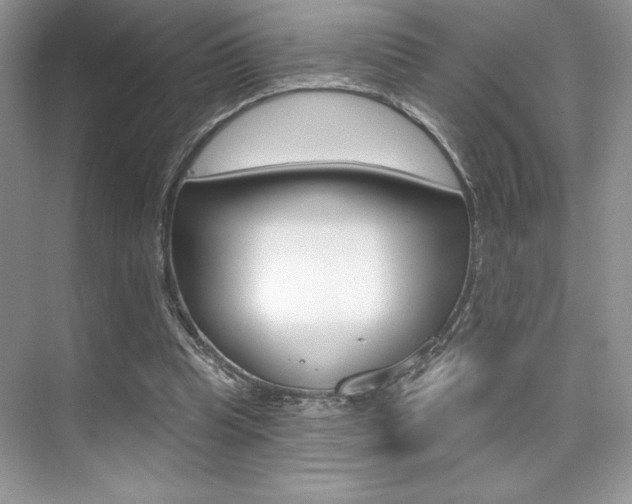 X0000073830345200608101007