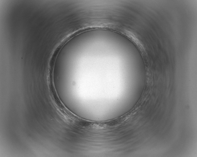 X0000073830346200608101007