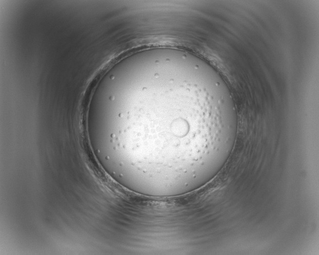 X0000073830347200608101007