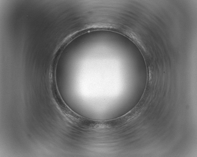 X0000073830348200608101007