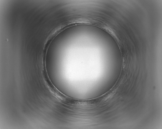 X0000073830349200608101007