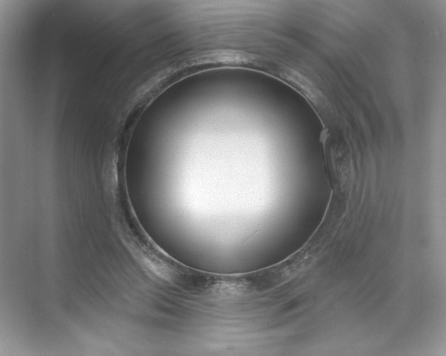 X0000073830350200608101007