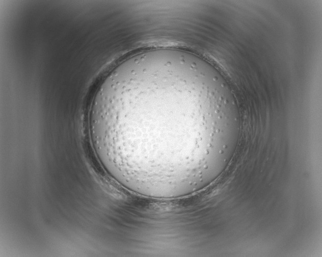 X0000073830351200608101007