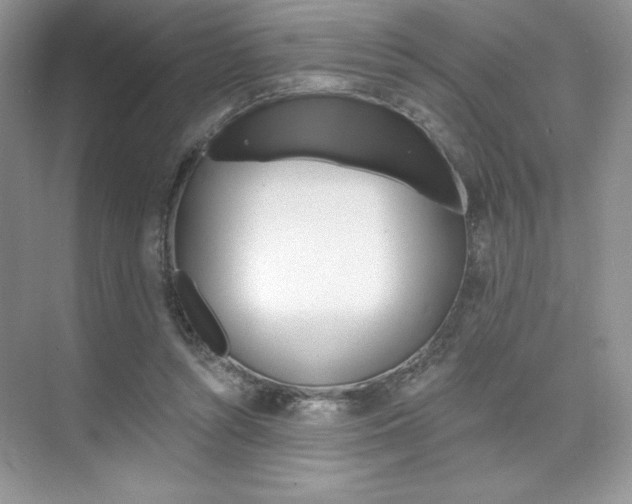 X0000073830352200608101007