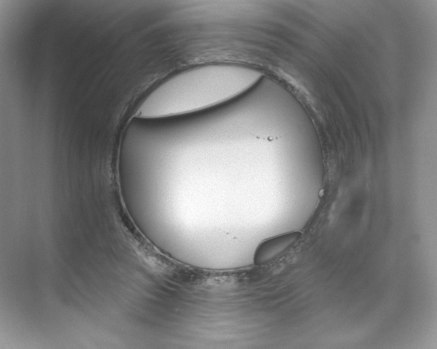 X0000073830353200608101007