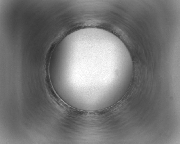 X0000073830354200608101007