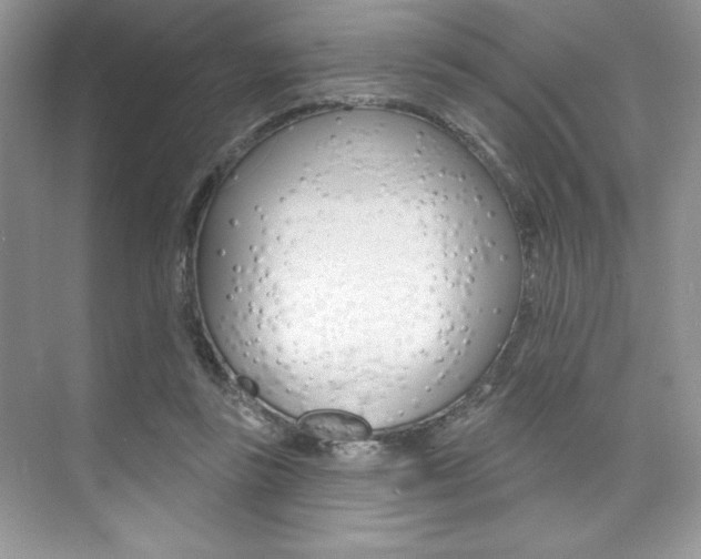 X0000073830355200608101007