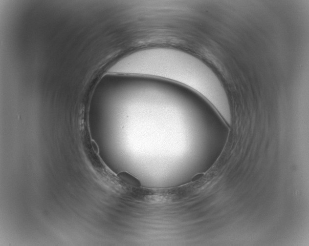 X0000073830356200608101007