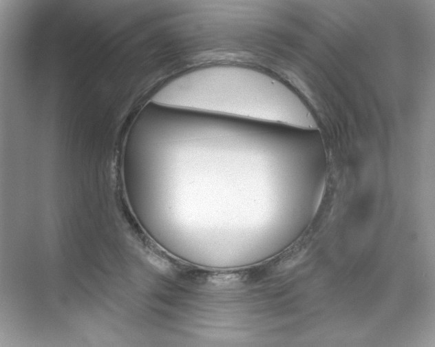 X0000073830357200608101007