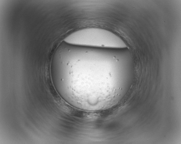 X0000073830359200608101007