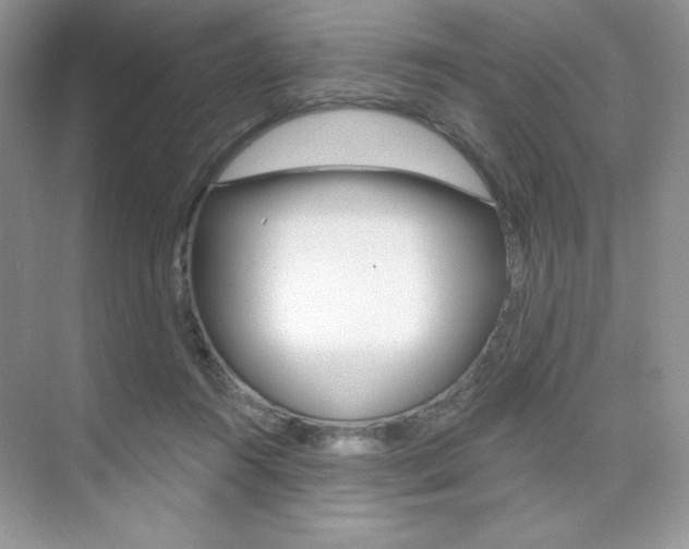 X0000073830360200608101007