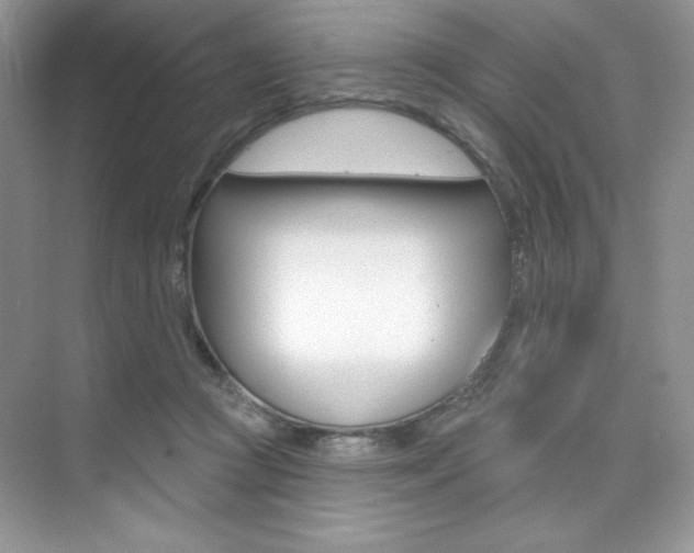 X0000073830361200608101007