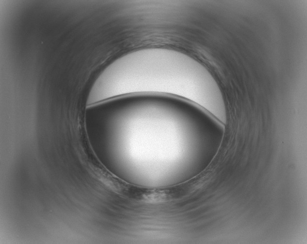 X0000073830362200608101007