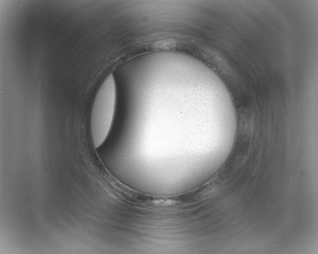 X0000073830363200608101007