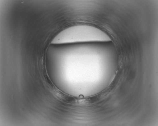 X0000073830365200608101007