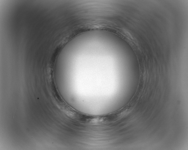 X0000073830366200608101007