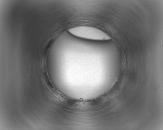 X0000073830367200608101007