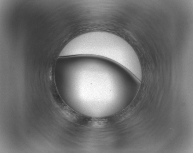 X0000073830368200608101007