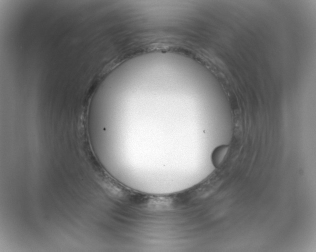 X0000073830369200608101007