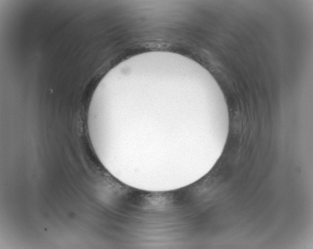 X0000073830370200608101007