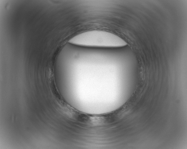 X0000073830371200608101007