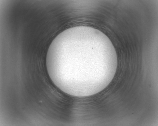 X0000073830372200608101007