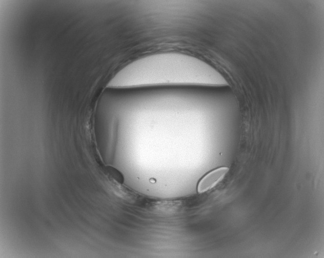 X0000073830373200608101007