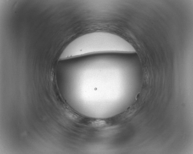 X0000073830374200608101007