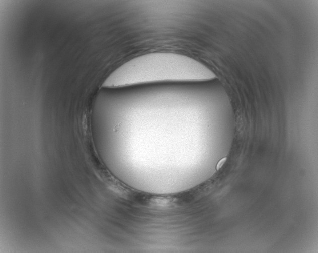 X0000073830375200608101007