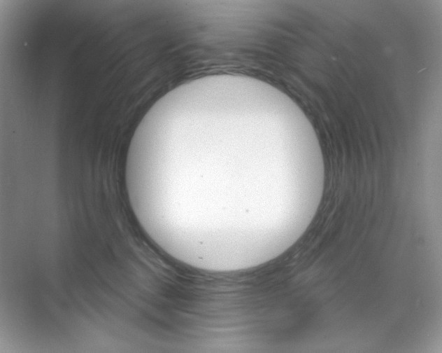 X0000073830376200608101007