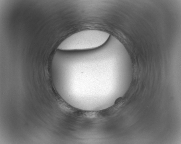 X0000073830377200608101008