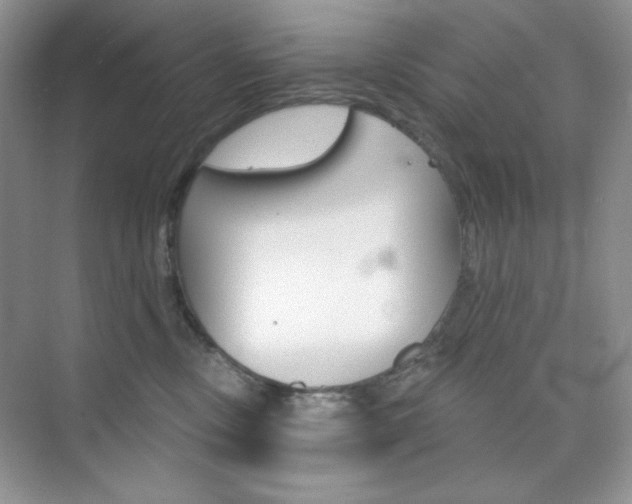 X0000073830378200608101008