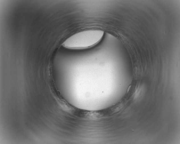 X0000073830379200608101008