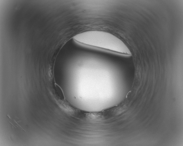 X0000073830380200608101008