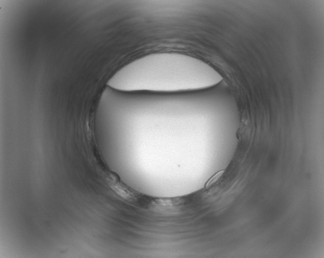 X0000073830381200608101008