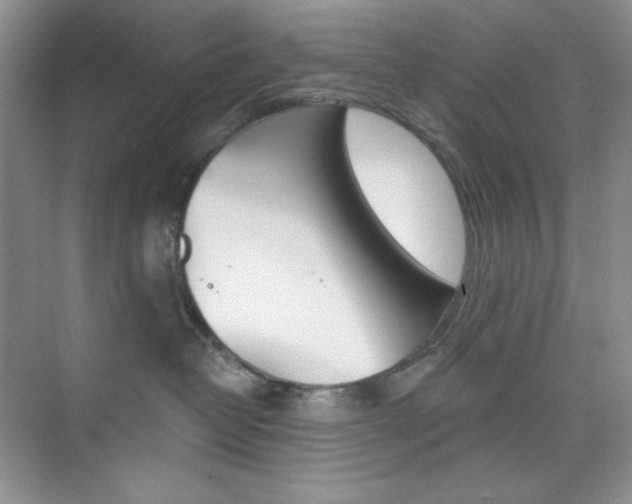 X0000073830382200608101008