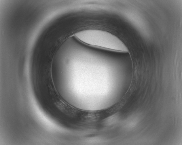 X0000073830383200608101008