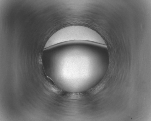 X0000073830384200608101008