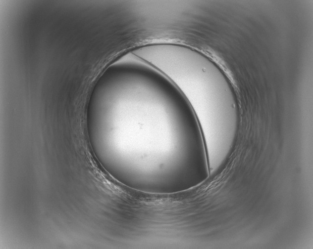 X0000073830385200608101007