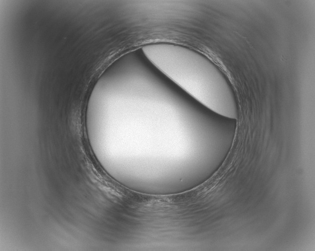 X0000073830386200608101007