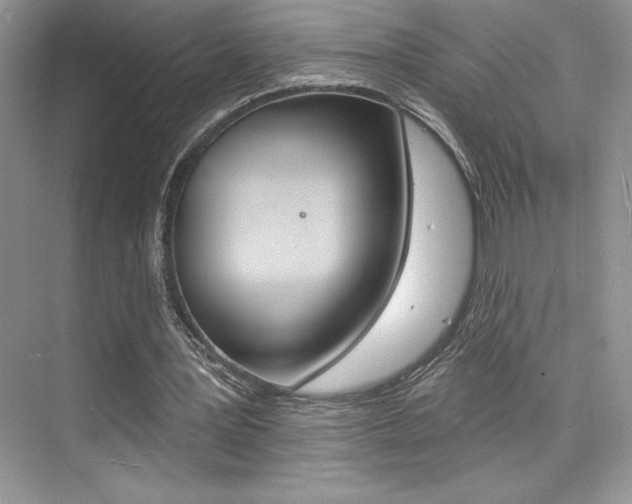 X0000073830387200608101007