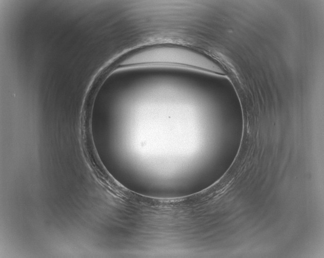 X0000073830388200608101007