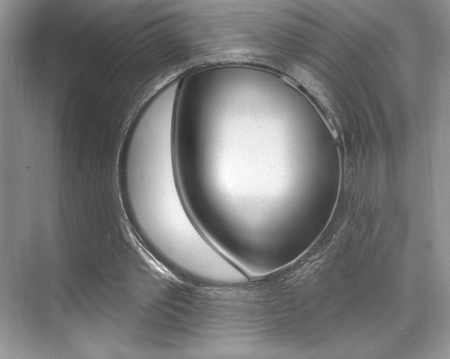 X0000073830389200608101007